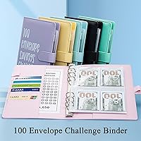 Vista 2 de Carpeta de desafío de 100 sobres Una manera fácil y divertida de ahorrar $5,050, carpeta de desafíos de ahorro, carpeta de presupuesto con sobres