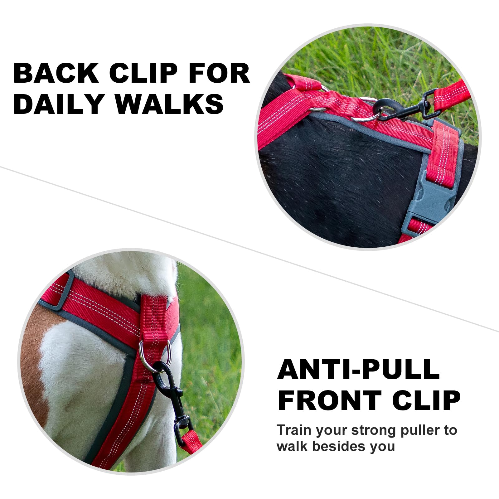 Plutus Pet No Pull Dog Harness, Adjustable Nylon Harness with Soft Padding - Image 4