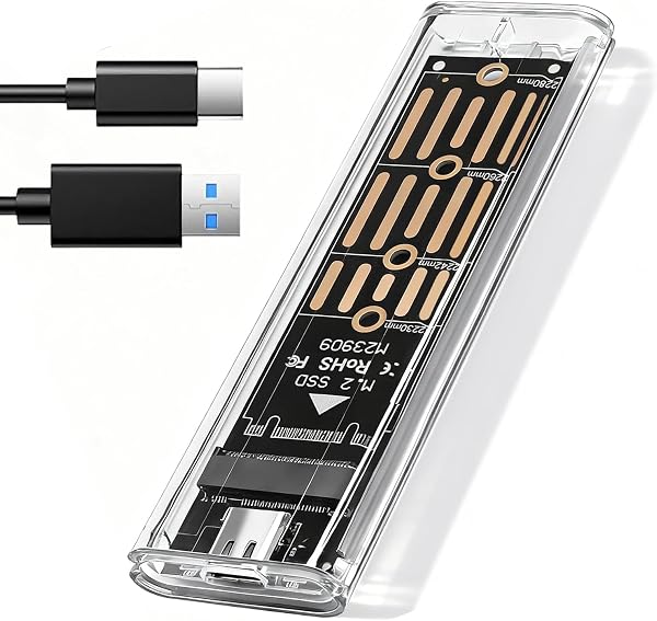 LAIVIYA custodia USB-C per SSD M.2 NVMe