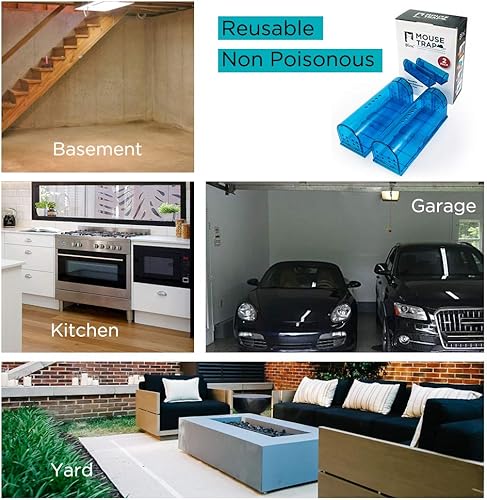 Miniatura 5 de Trampa para ratones humanitaria  Atrapa y suelta trampas para ratones que funcionan  Trampa para ratones que no matan para ratonesroedores y