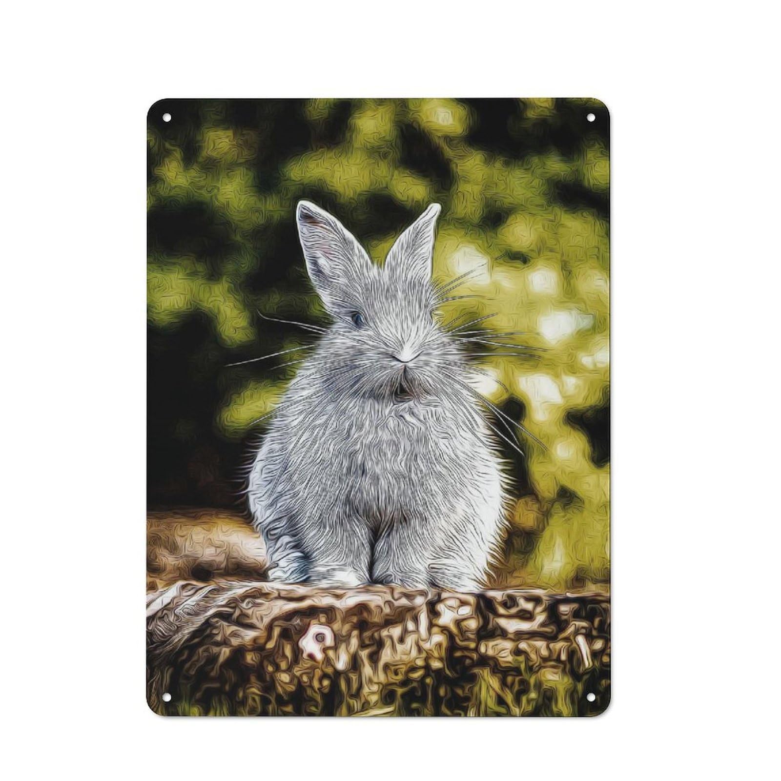 Junmoney Style-19 Rabbit Retro-Style Tin Sign 40X30cm For Guest Room Or Hallway, A Christmas Gift For People Styling Guest Room And Hallway