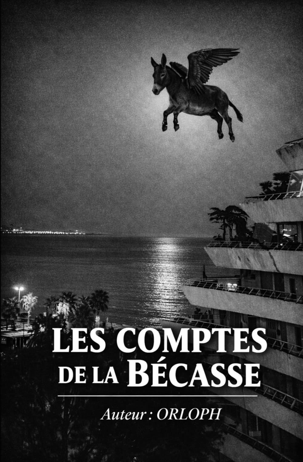 Les Comptes de la Bécasse