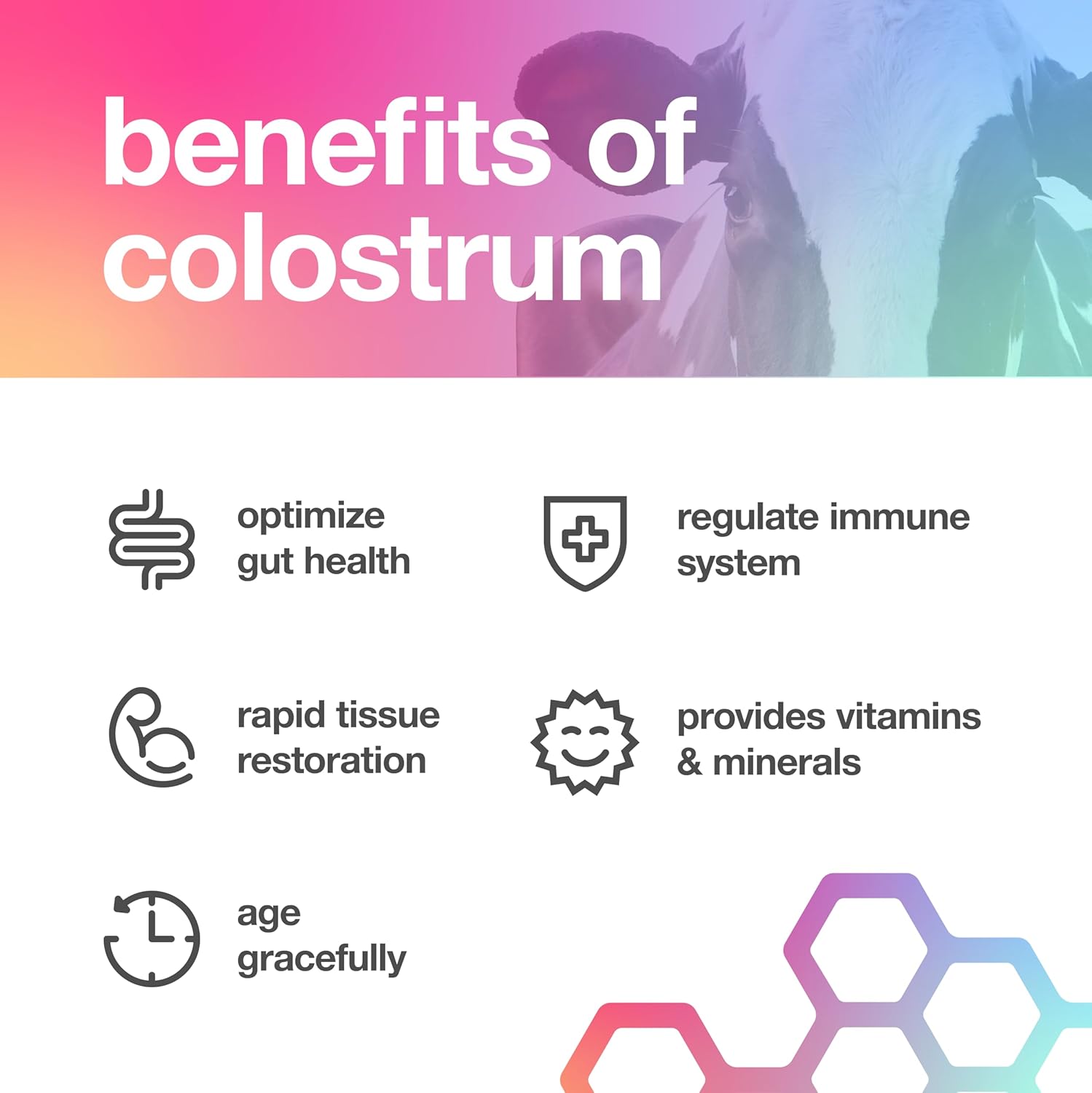 Pure Bovine Colostrum 180 Capsules - Antibiotic and Hormone Free - USA Sourced - All Natural - 100% First Milking - Image 4