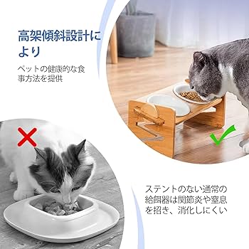 ペットのご飯入れ Amazon | ペット猫 犬 食器フードボウル 4段階の高さ 陶器お皿