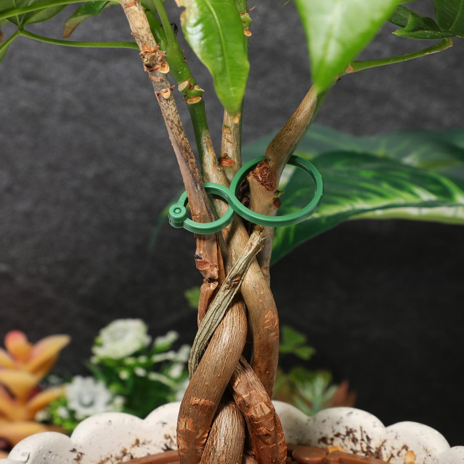 Faotup Lot De 100 Pinces à Plantes Vertes