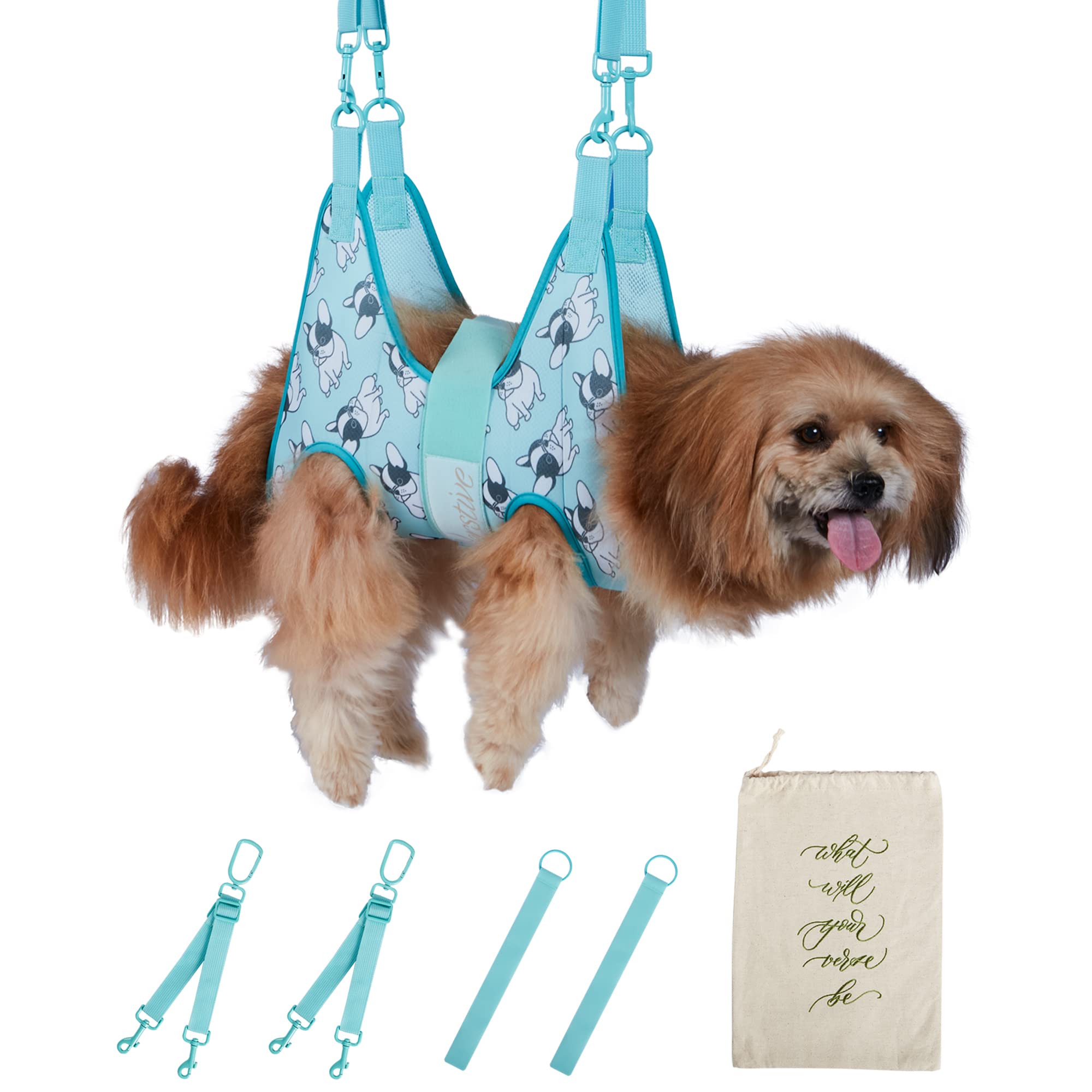 Can A Dog Be Traumatized After Grooming