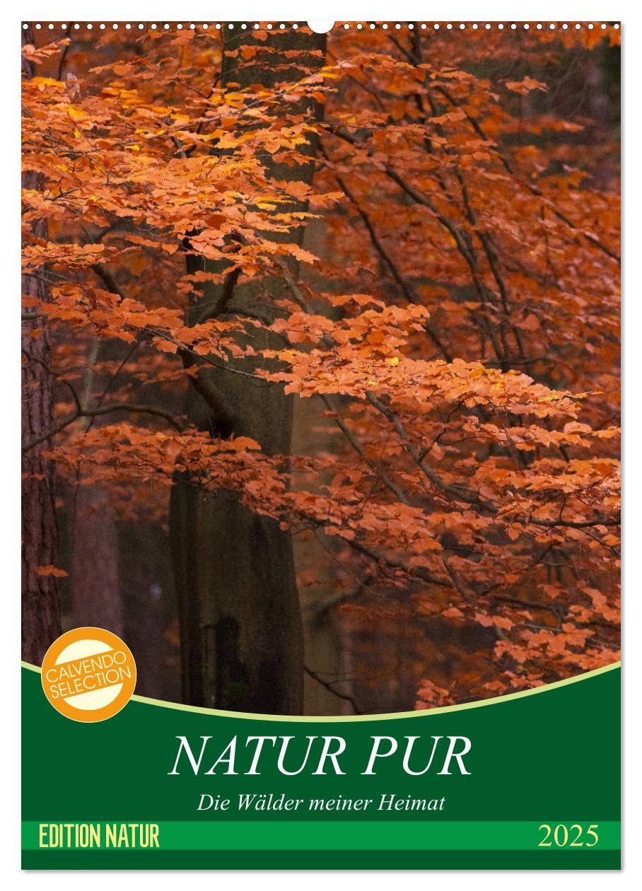 NATUR PUR - Die Wälder meiner Heimat (Wandkalender 2025 DIN A2 hoch), CALVENDO Monatskalender: Mit offenen Augen durch den Wald gehen (CALVENDO Natur)