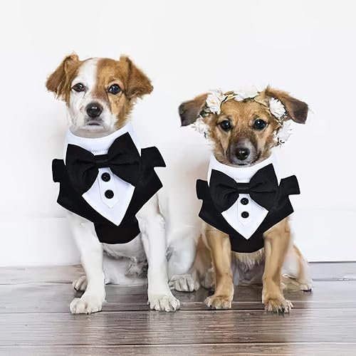 Miniatura 4 de Arnés para perros pequeños, arnés de Chihuahua a rayas con correa, bonito arnés para cachorro, arnés de chaleco para perro, arnés para perro sin