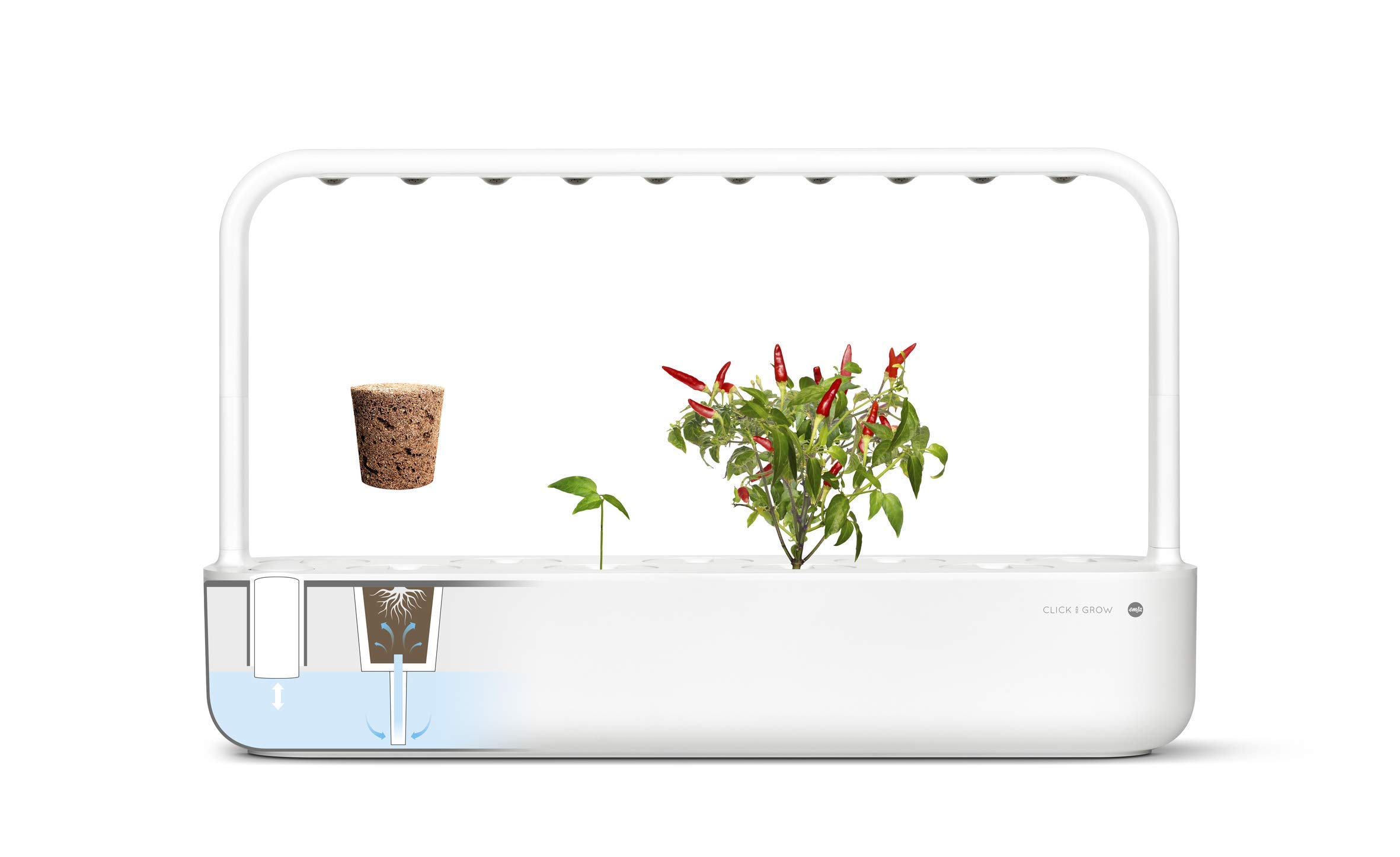 Emsa Click & Grow Smart Garden 9 unidades M52619, Semillas Smart ...
