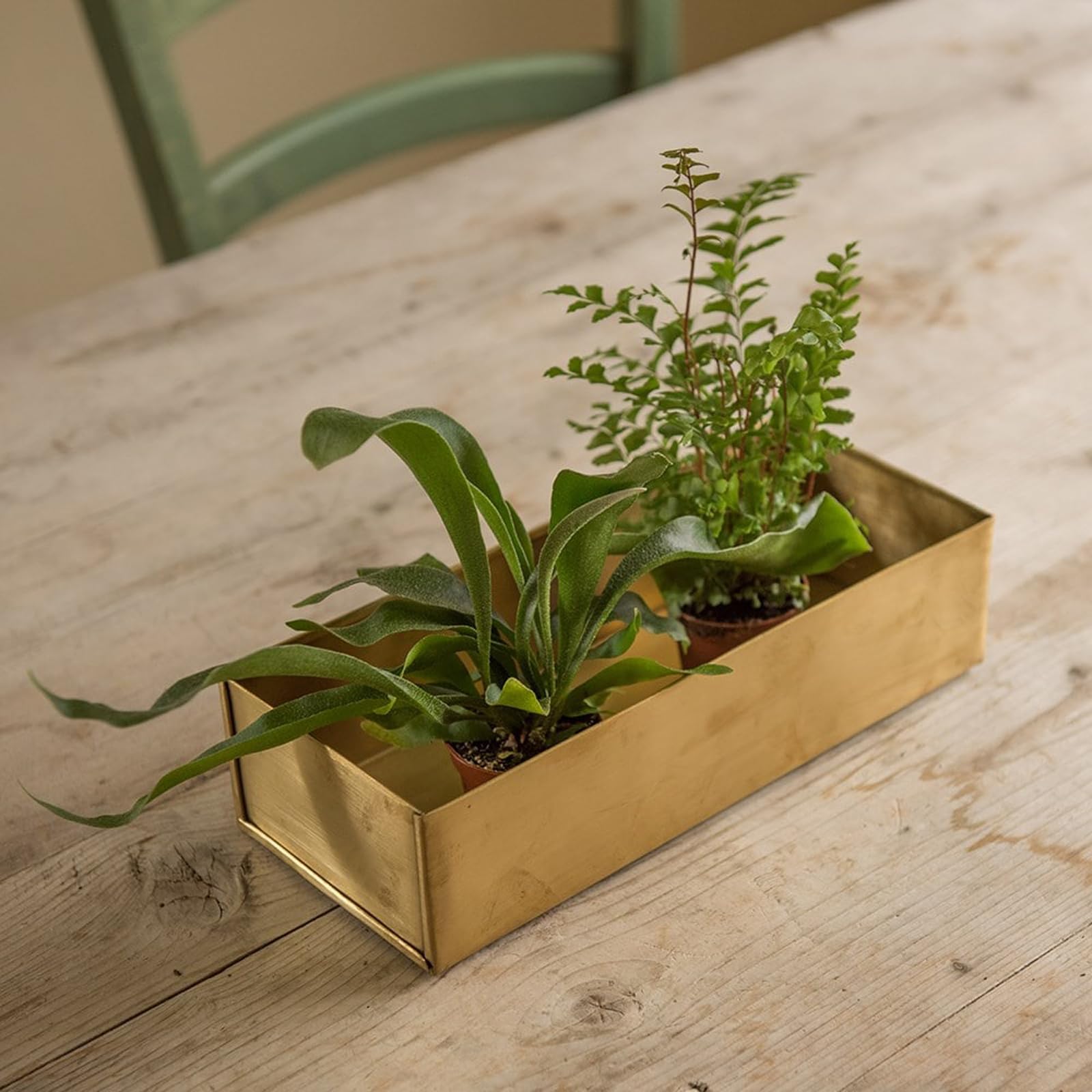 Crocus Gold Collection 30Cm Brushed Brass Windowsill Seed Tray Water Drip Tray For Planters