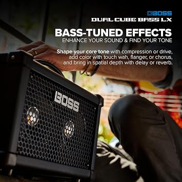 Boss Dual Cube LX 2 x 5-inch 10-watt Portable Bass Combo Amp