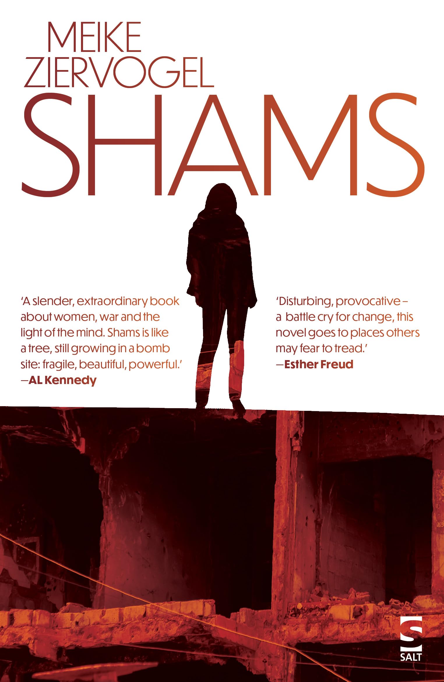 Shams (Salt Modern Fiction)