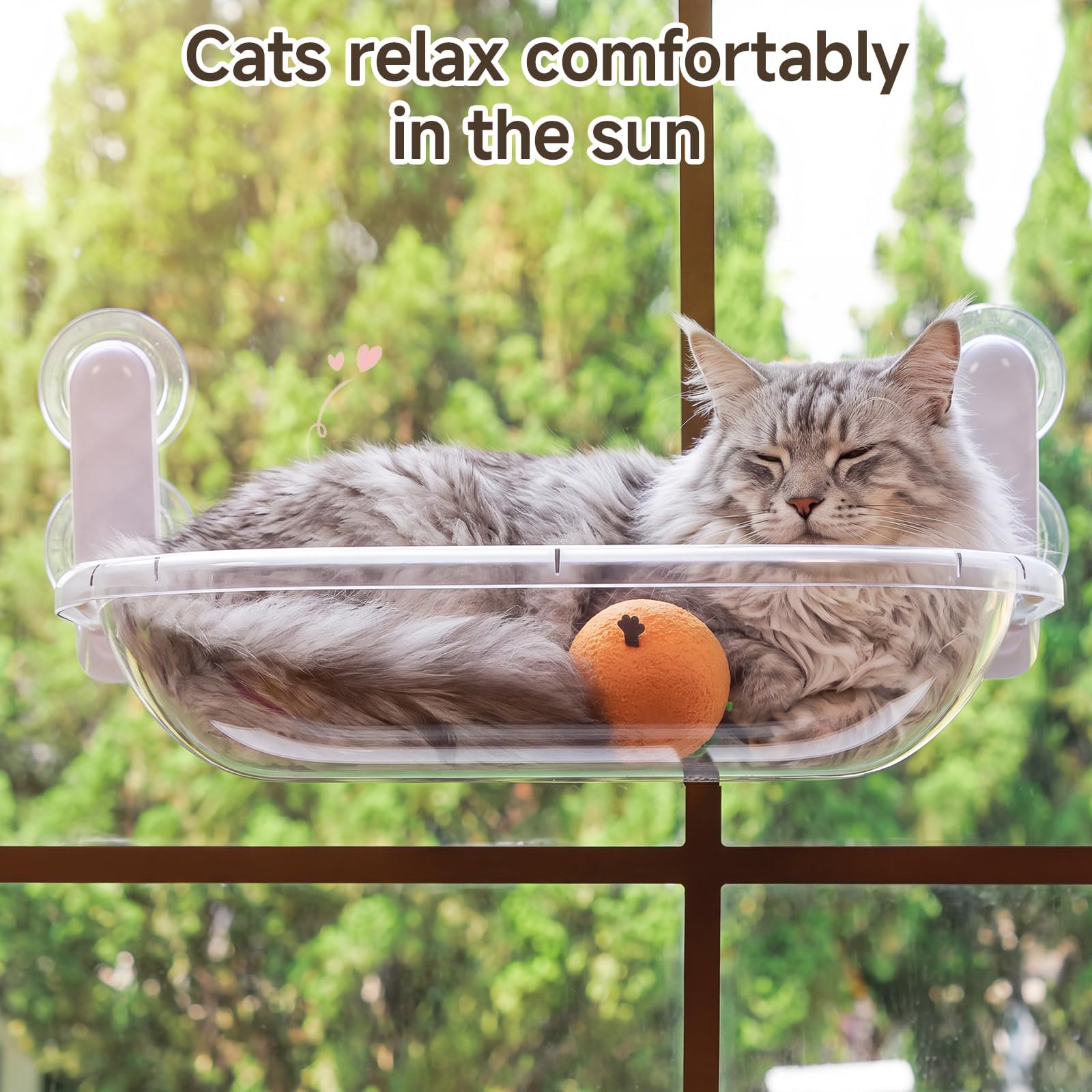 EDAGNY Perchoir Chat Transparent, Hamac-Lit Capsule Spatiale Solarium 10kg