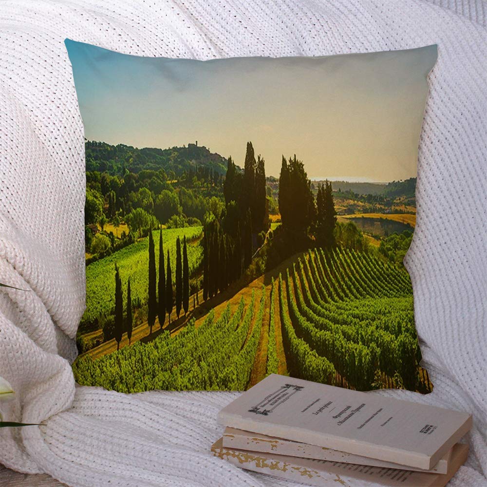 Anmbsk Throw Pillow Cover Decorative Cushion Pillowcase Maremma Casale Marittimo Village Vineyards Countryside Landscape Nature Country Parks Outdoor Sky Polyester Case for Couch Sofa 16x16 Inch