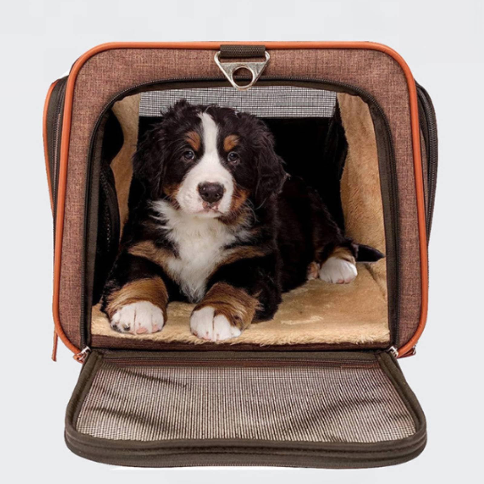 Rollbare Hundetragetasche Erweiterbar Haustiertragetasche mit Schultergurt Atmungsaktiv Transporttasche