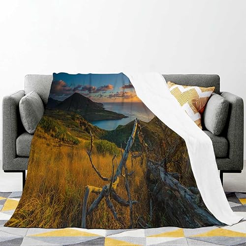 Miniatura 7 de Manta de trabajo Colorida Creativa Mantas Personalizadas Decorativas 70 Pulgadas X 70 Pulgadas