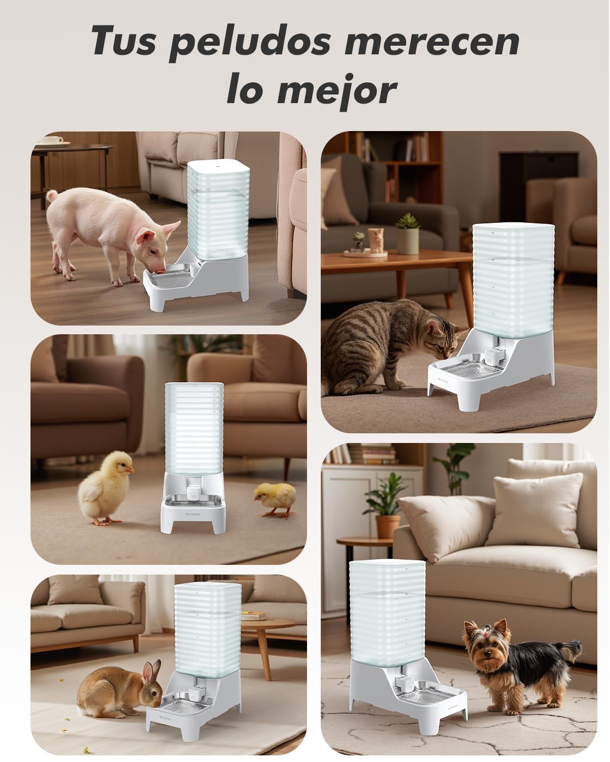 8L Bebedero Gatos por Gravedad con Grifo Patentado, Comedero Gato automático con Filtro y Base Ajustable, Boca Ancha para fácil Limpieza, Materiales Aptos para Alimentos