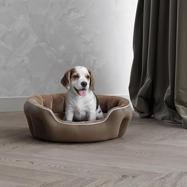 Cama para Mascotas para Perros y Gatos COCCOLE, Beige, 48x42x16cm