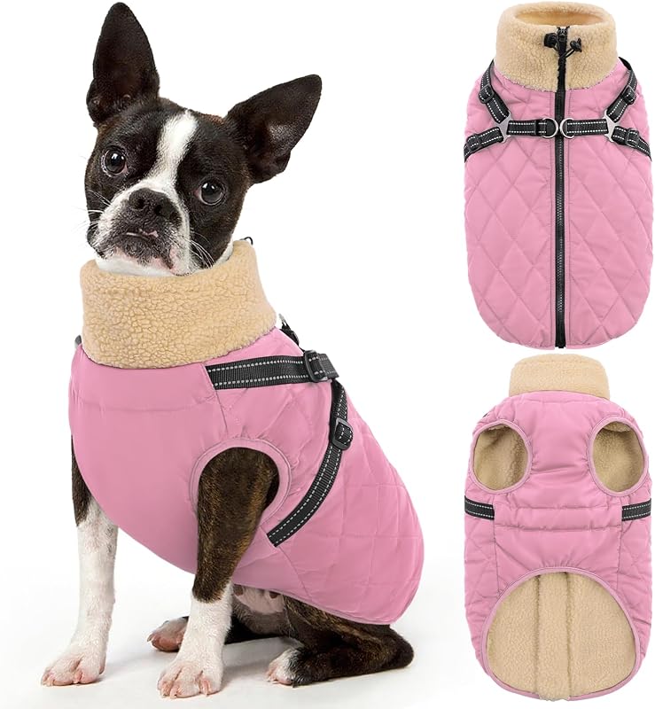 Casaco de inverno para cães com peitoral integrado Queenmore, modelo CA-1489-QM-20062MF-Pink-XL-1