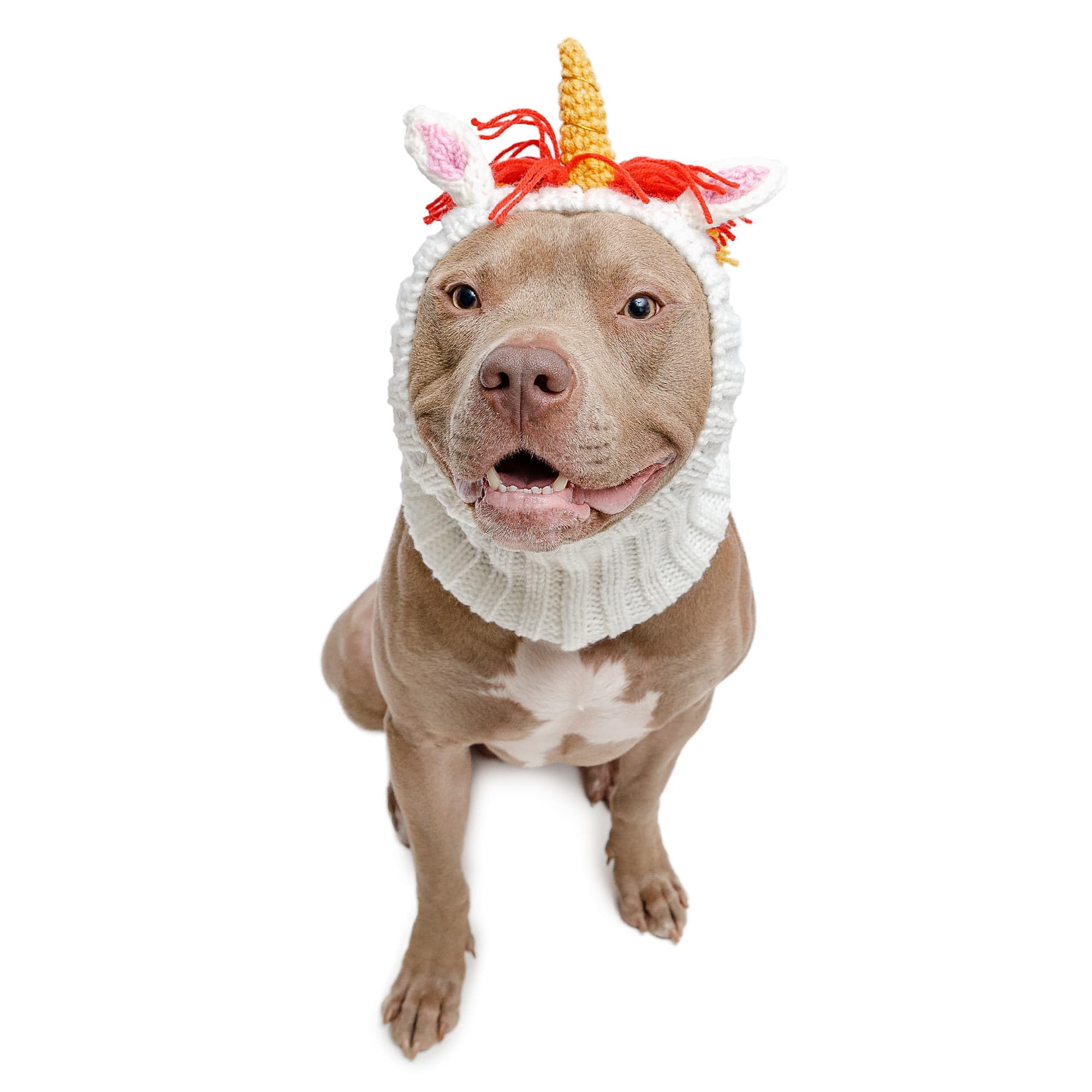 Zoo Snoods Unicorn Costume - Knit Rainbow Dog Snood Ear Wrap for Pets, Warm Neck Cover for Halloween and Winter (Large)