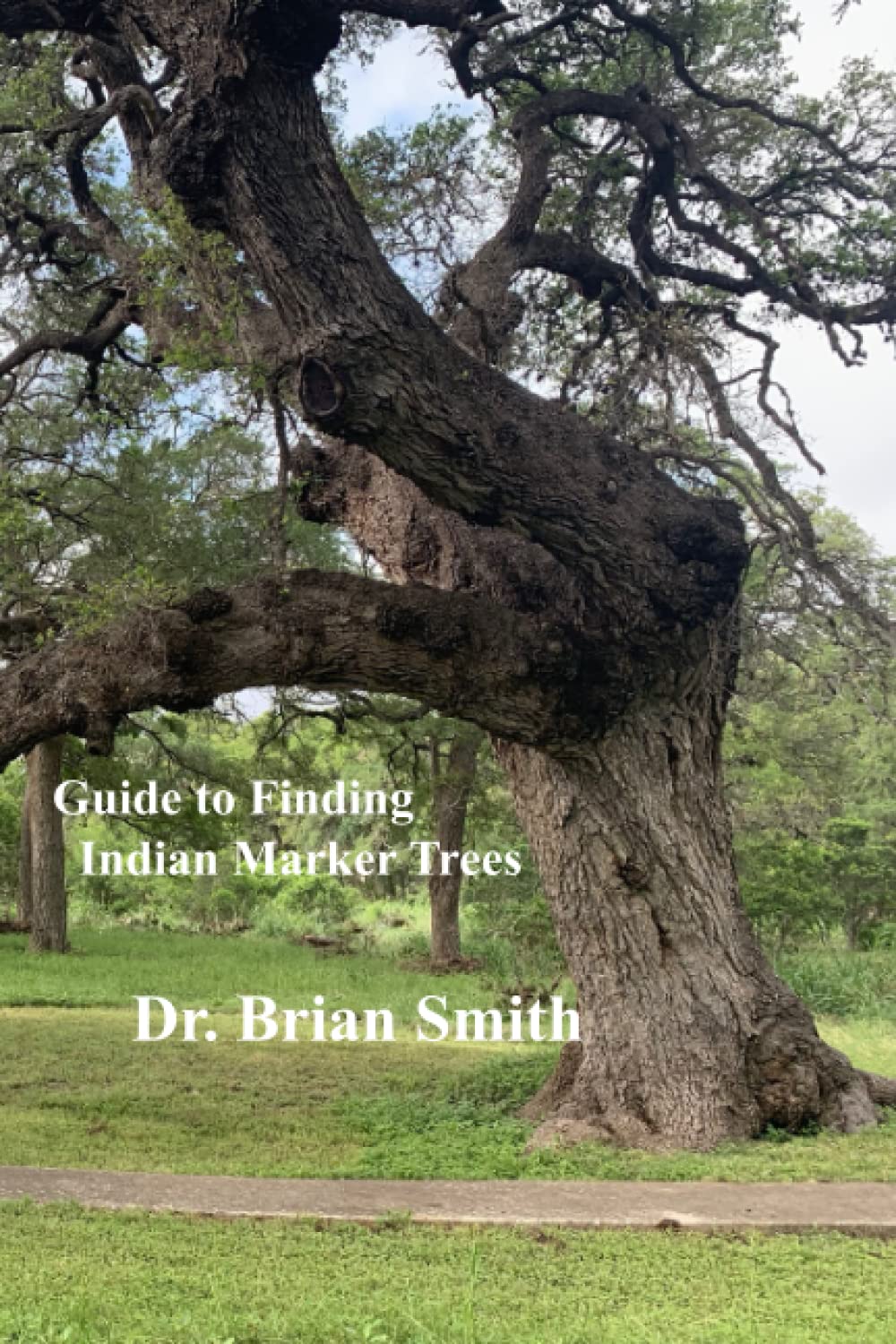 Guide To Finding Indian Marker Trees