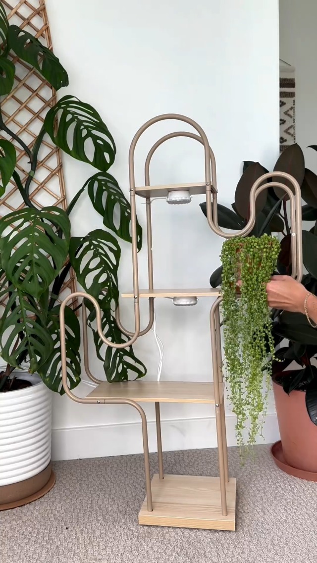 Amazon.com: SANSI LED Puck Grow Light, 10W (150 Watt Equiv) Full