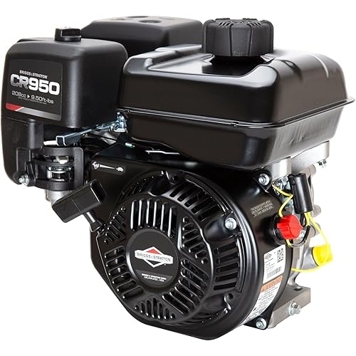 Briggs and Stratton 13R232-0001-F1 Engine,Black,14.5 x 12 x 13.5 inches