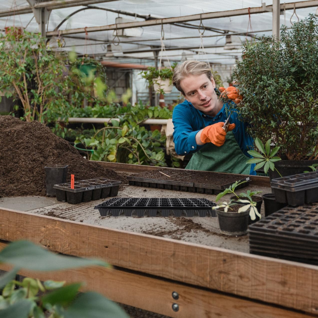 Toddmomy 10piezas Bandejas De Germinación De Plantas Unidades Placa De Germinación para Viveros Contenedor De Herramienta De Jardinería Material Plástico No Deformable