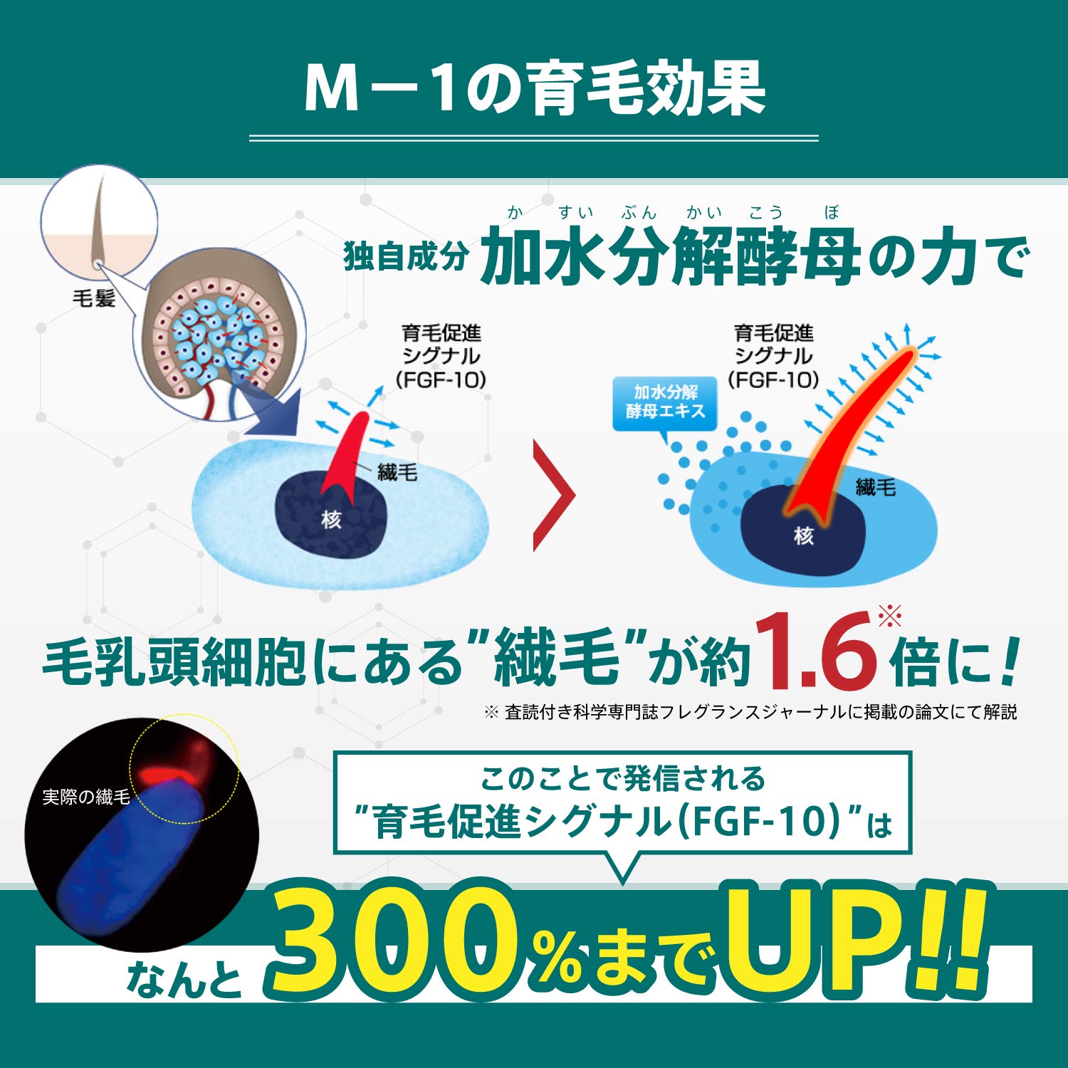 Amazon | M-1 育毛 ローション 120 ml 2本 セット | サラビオ 