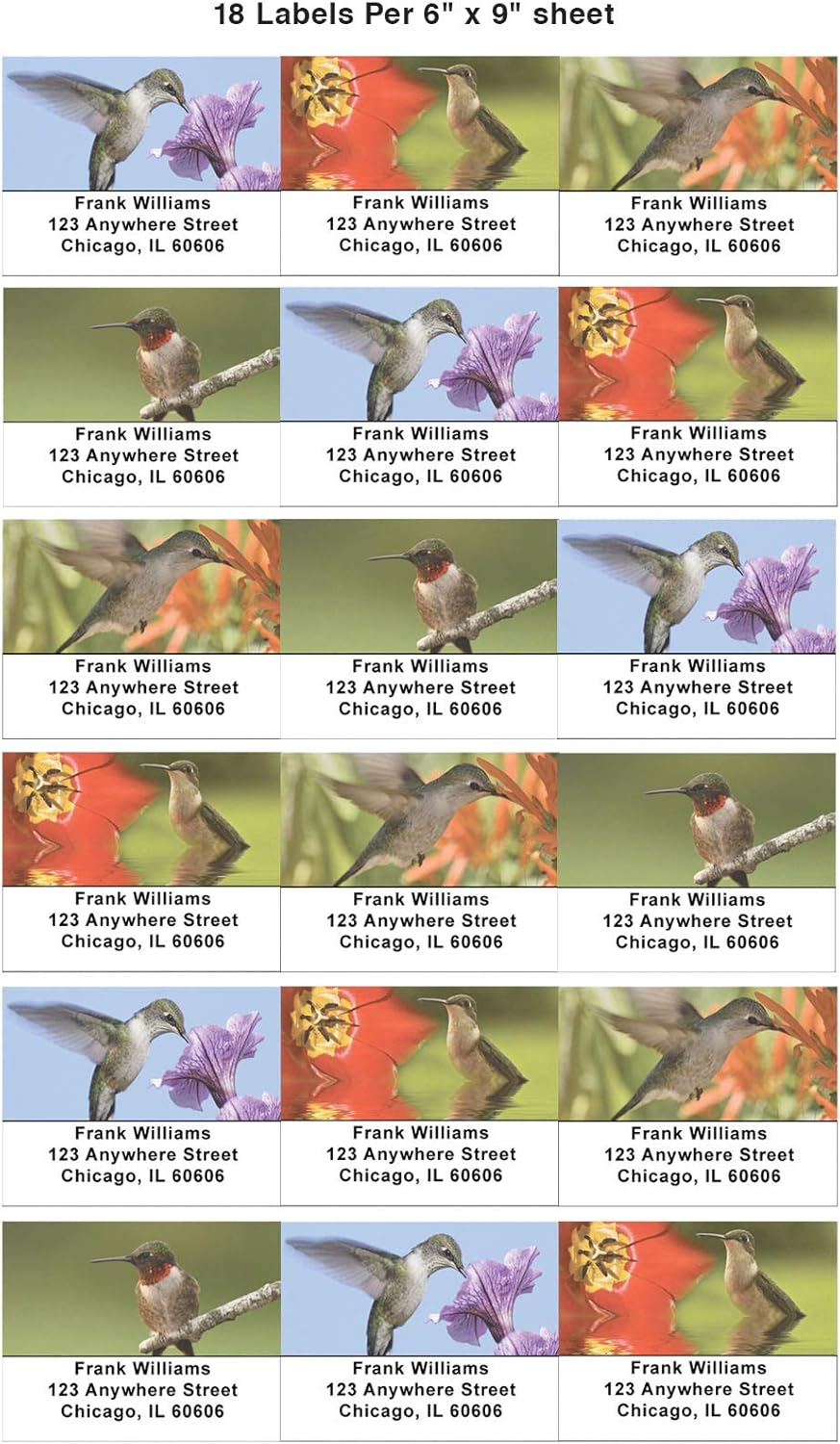 Hummingbirds Address Labels