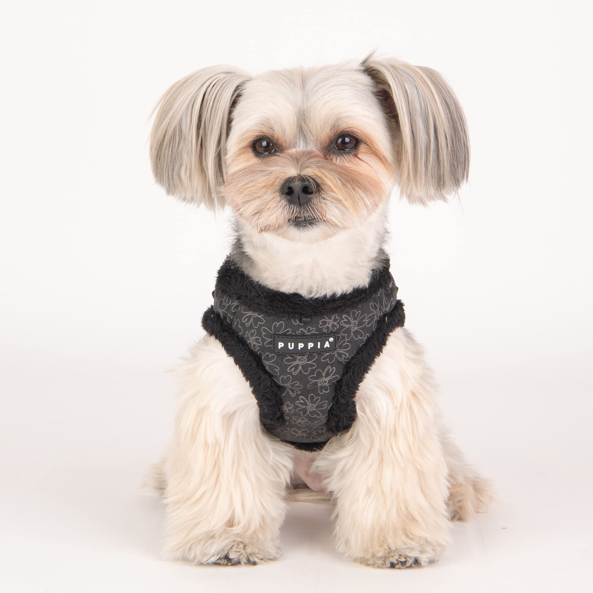 Puppia Brustgeschirr für kleine und mittelgroße Hunde - Hepatica Harness B - verstellbar und komfortabel, Schwarz