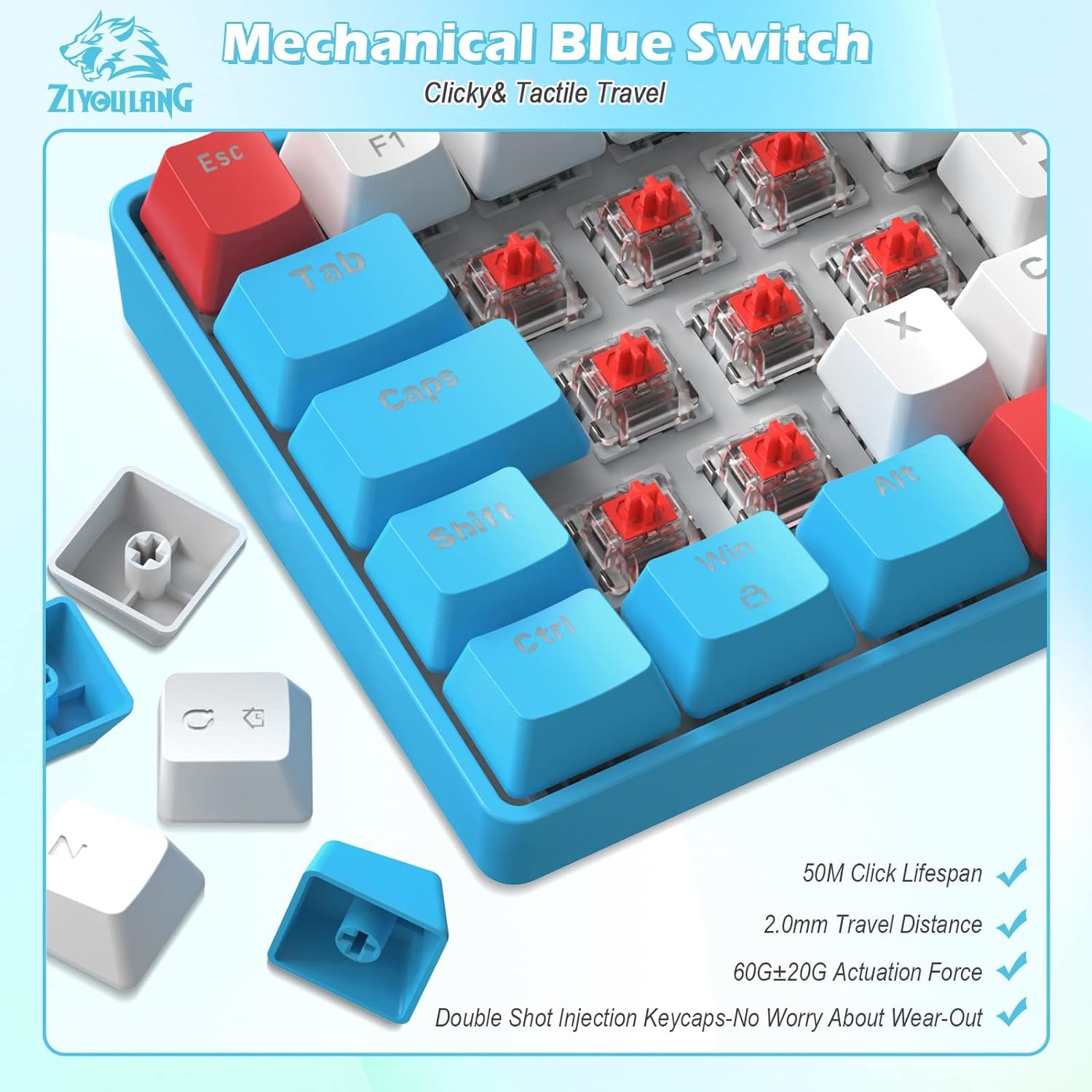 Amazon.com: ZIYOU LANG RK-T60 Wired Mechanical Gaming Keyboard
