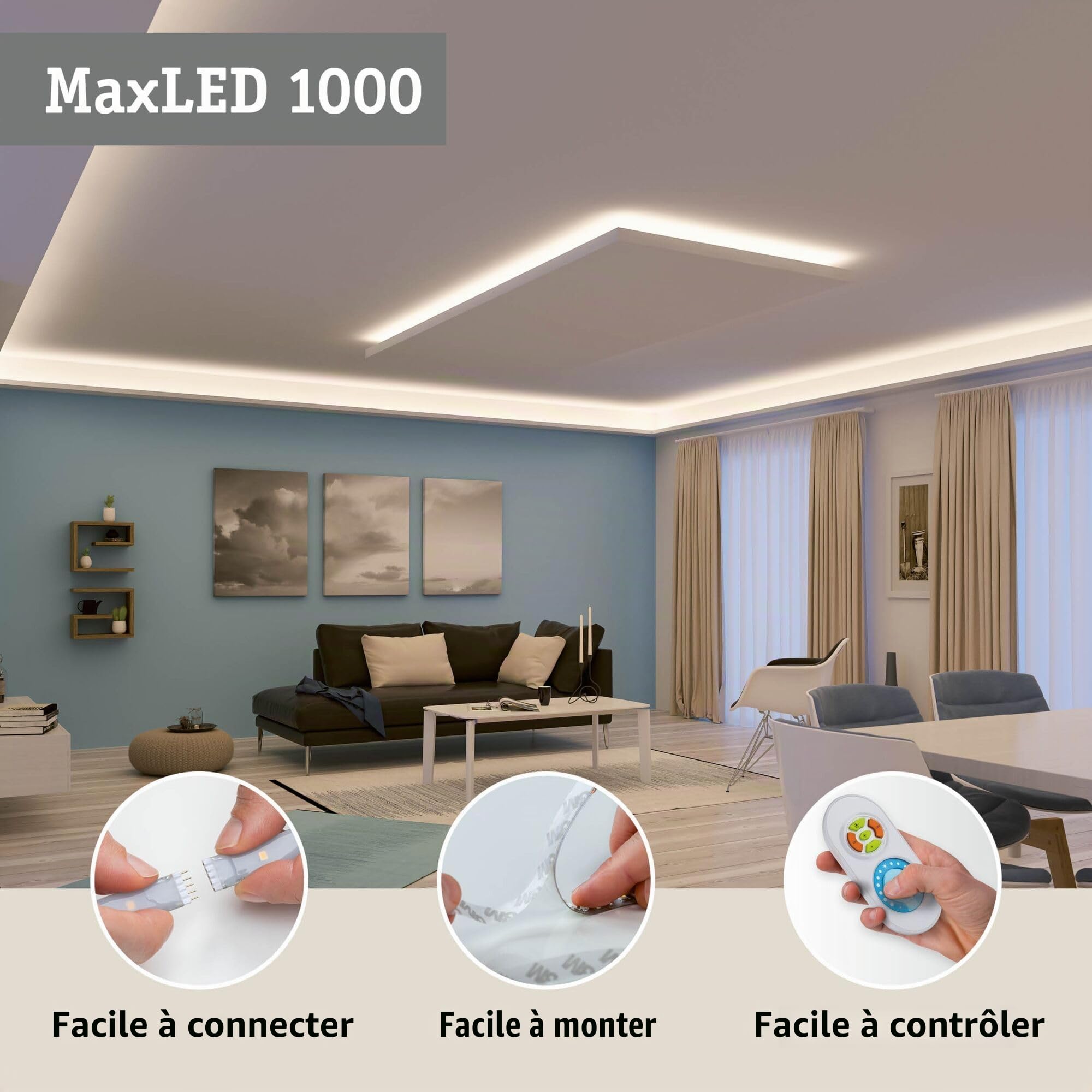 Paulmann 70553 Ruban LED MaxLED 1000 blanc lumière du jour 2,5 m 29 W 2 750 lm 6 500 K IP44 dimmable Ruban LED argent matière plastique