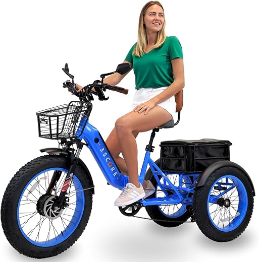 3SCORE Electric Fat Trike 750W Motor and 48V Lithium Rechargeable Battery - Foldable Electric Tricycle - Etrike 24 Inch Fat Tire