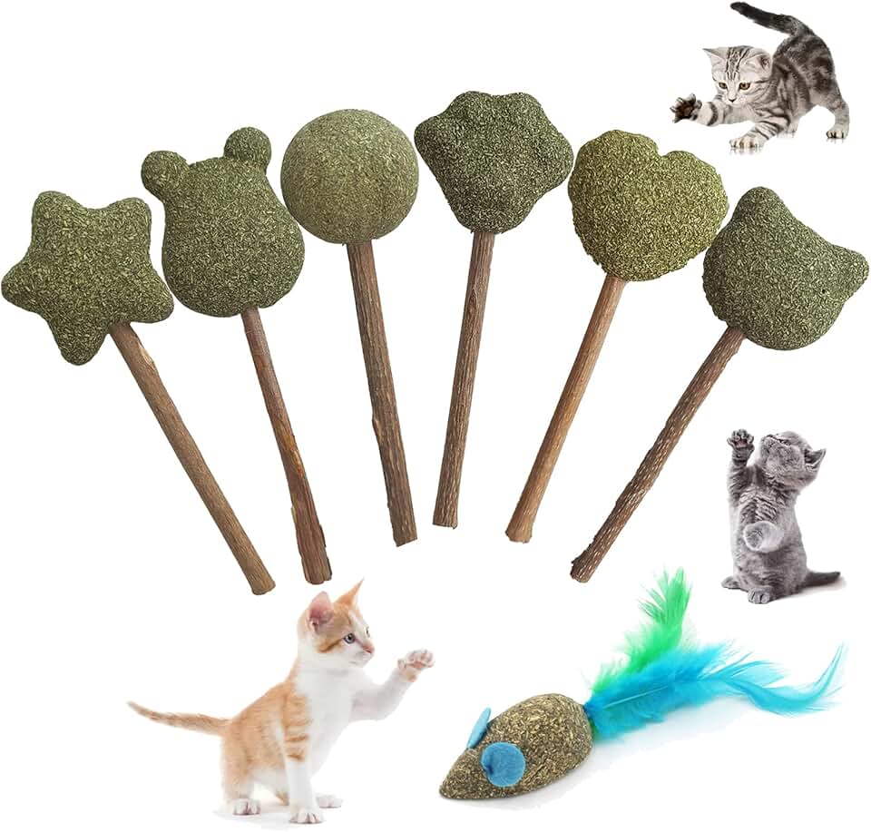 cat lollipops