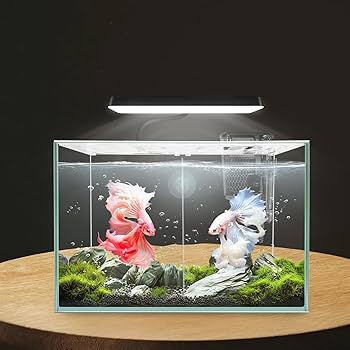 Amazon.com : iPriro 3 Gallon 12.6