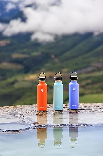 Miniatura 4 de (Hydro Flask) Hydration 21oz Standard Mouth Dew