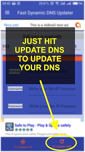 Fast Dynamic DNS Updater