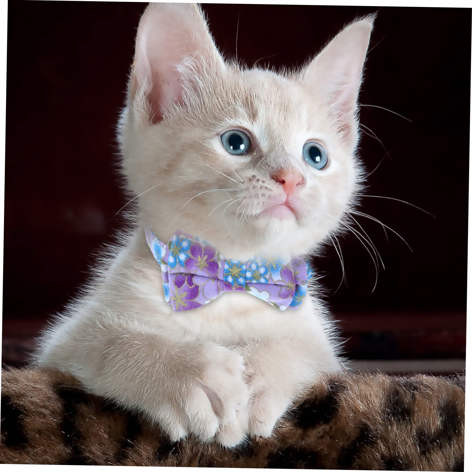 Mipcase 9pièces Collier pour Chat Réglable avec Clochette Et Nœud Fleurs De Parfait pour Animaux De Compagnie Lors des Fêtes Et Événements Spéciaux