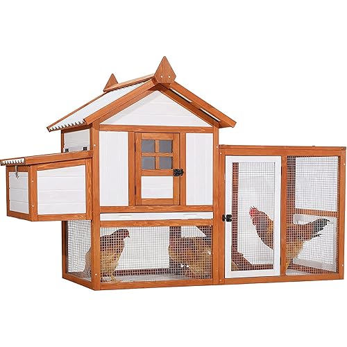 Petsfit Outdoor Wooden Chicken Coop Multi-Level Hen House, Poultry Cage w/Ramps, Run, Nesting Box, Wire Fence, 4 Access Areas, Removable Bottom for Easy Cleaning