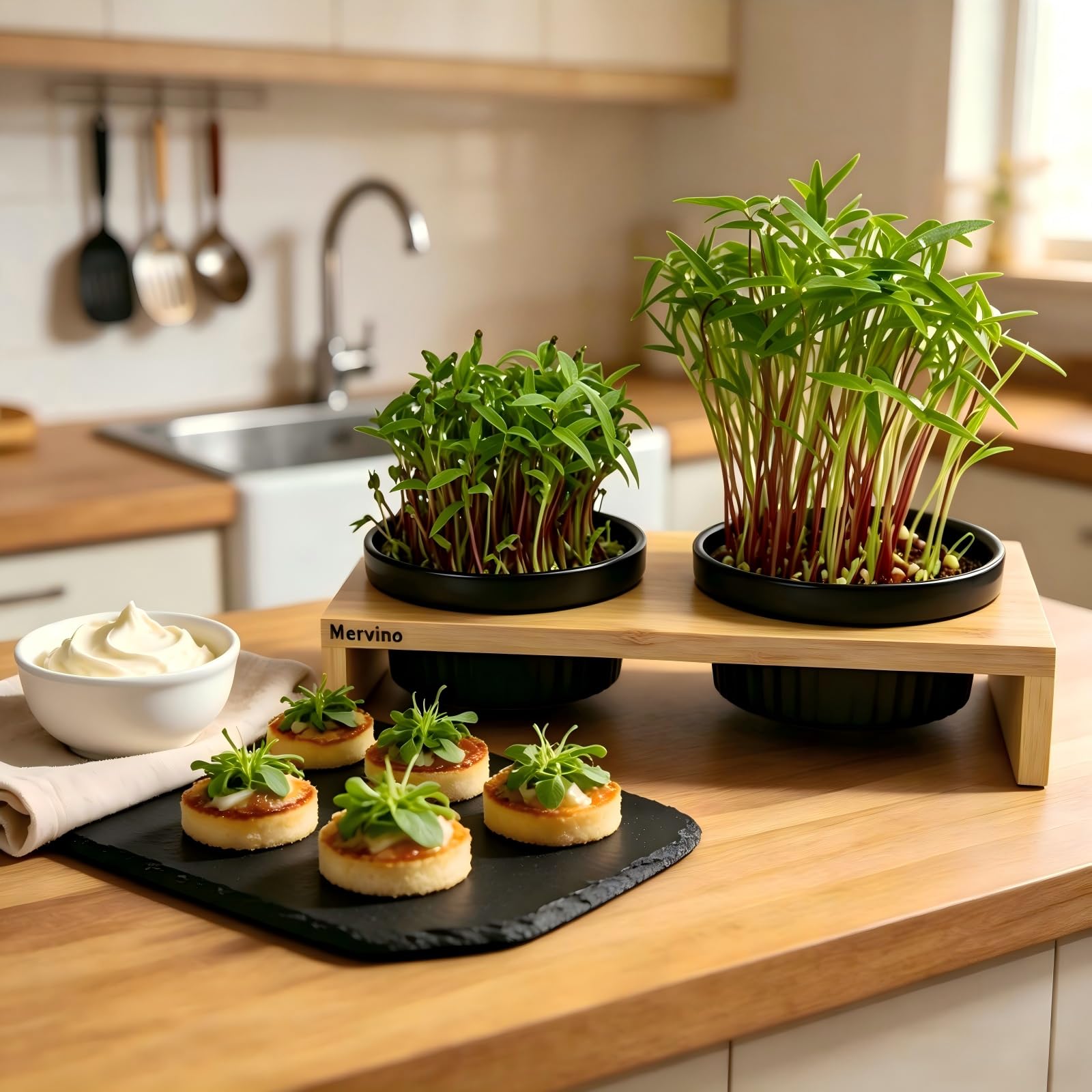 Mervino Kresse Anzuchtschalen Set mit 2 Hochwertigen Keramik-Anzuchtschalen, 2 Edelstahlsieben & Bambusständer – Praktisches Sprossen Anzuchtset für Microgreens, Kressesamen und Keimlinge,Schwarz