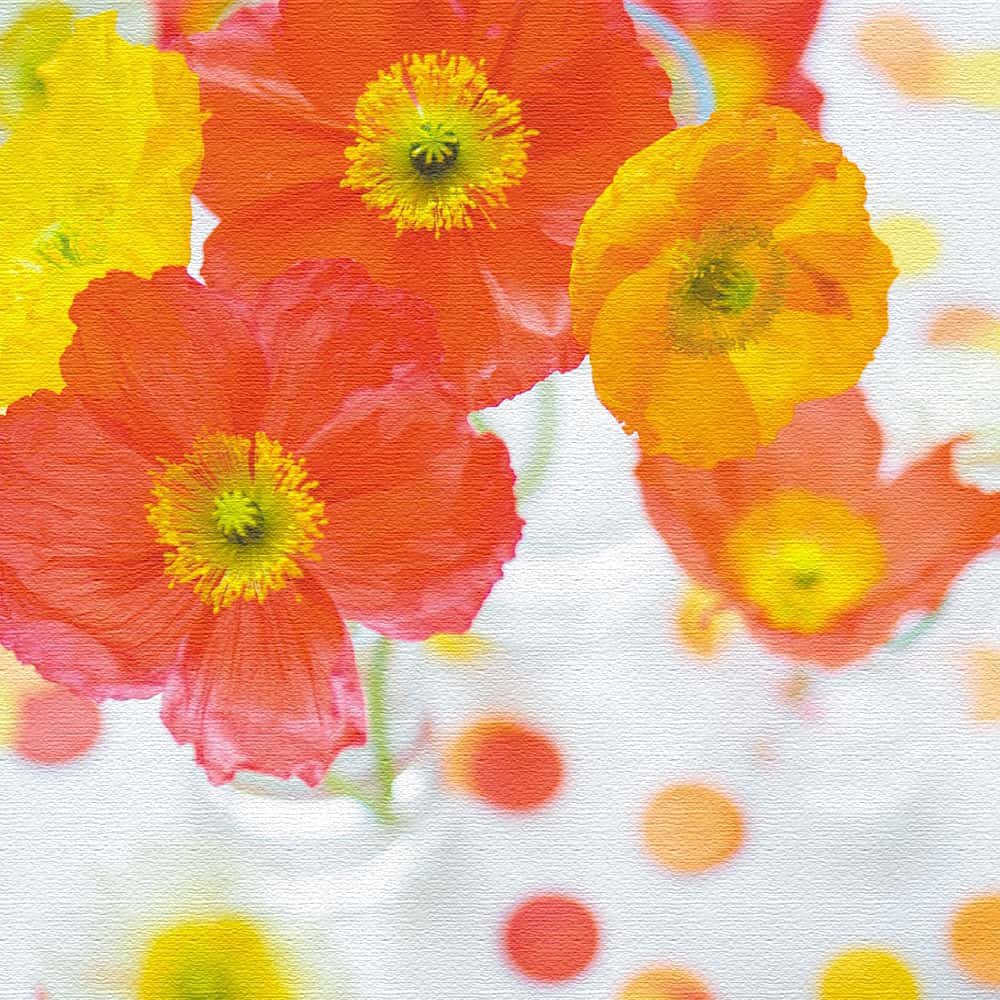 インテリアパネル 3点 アートパネル 春 ビタミンカラー インテリアパネル 3点 アートパネル 春 ビタミンカラー