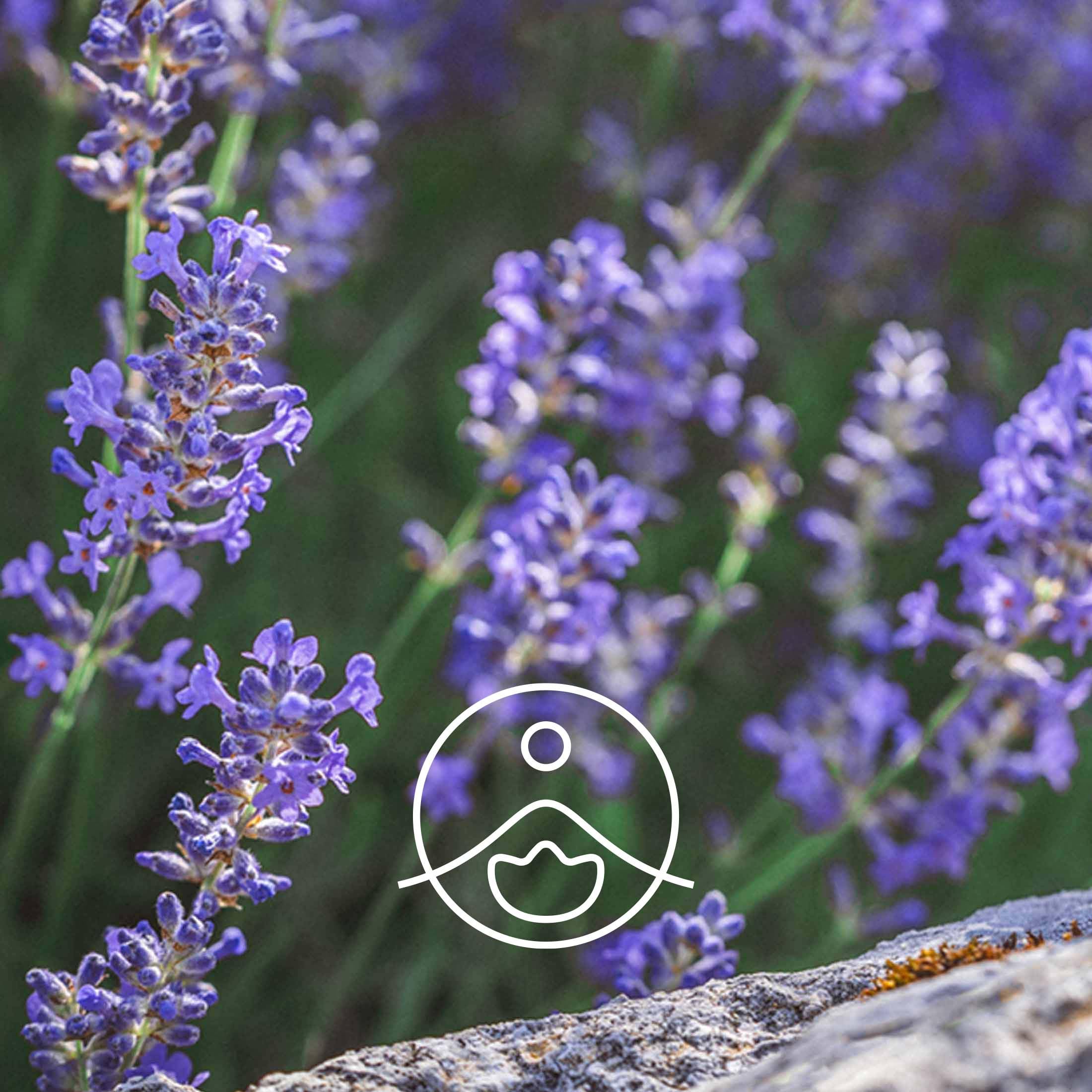 FLORIHANA Ätherisches Öl, feiner Bio-Lavendel, 100 % rein und natürlich, 50 g (≈ 56,8 ml), hergestellt in Frankreich