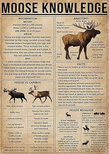 ARA STEP - Pósteres vintage de conocimiento de animales, decoración de pared de cocina, impresiones sin marco A (11.7 x 16.5 pulgadas, conocimiento