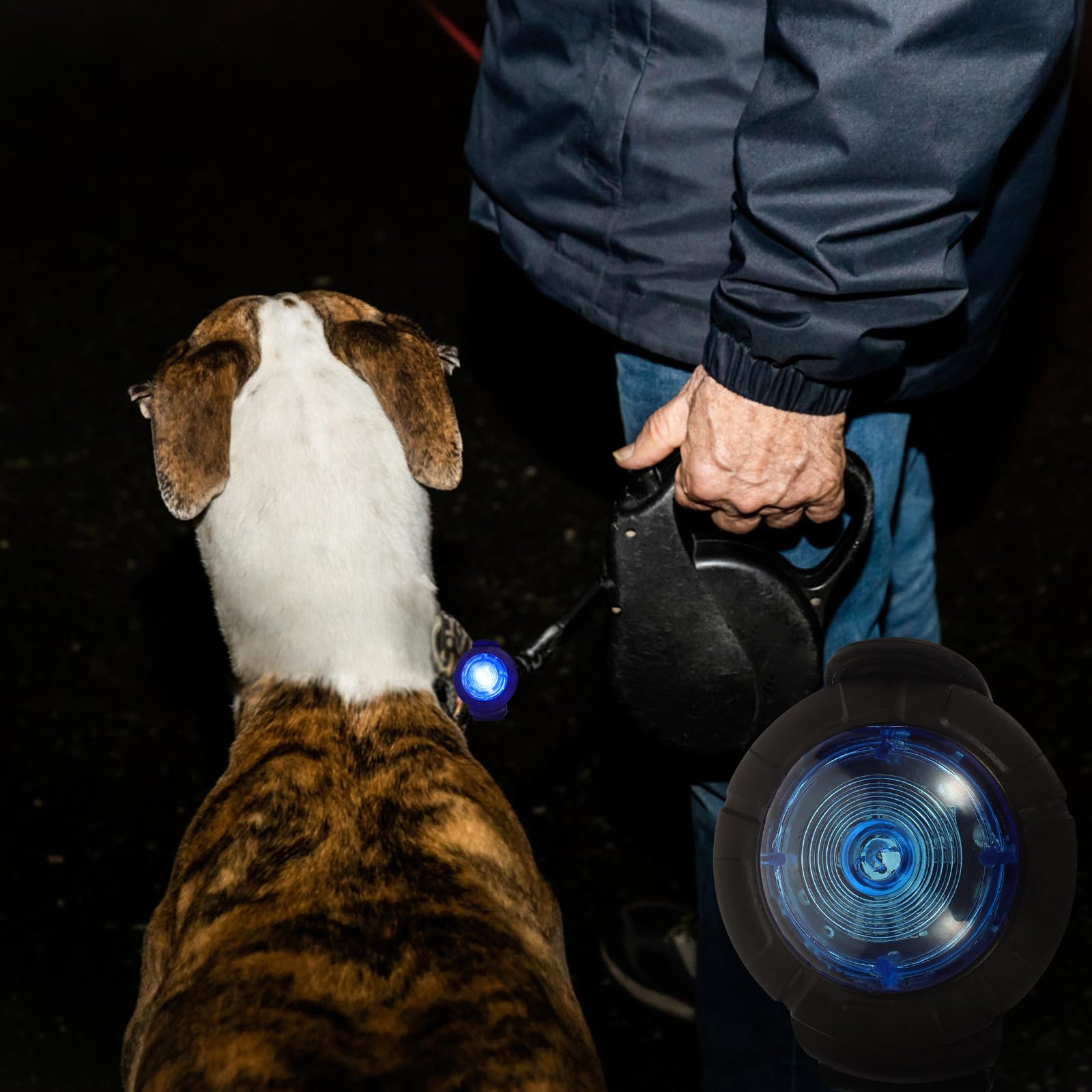 GARVALON Luce Portatile Ricaricabile per Cani Collare in Plastica Ipx8, per Passeggiate Notturne e Sicurezza del Tuo Cucciolo