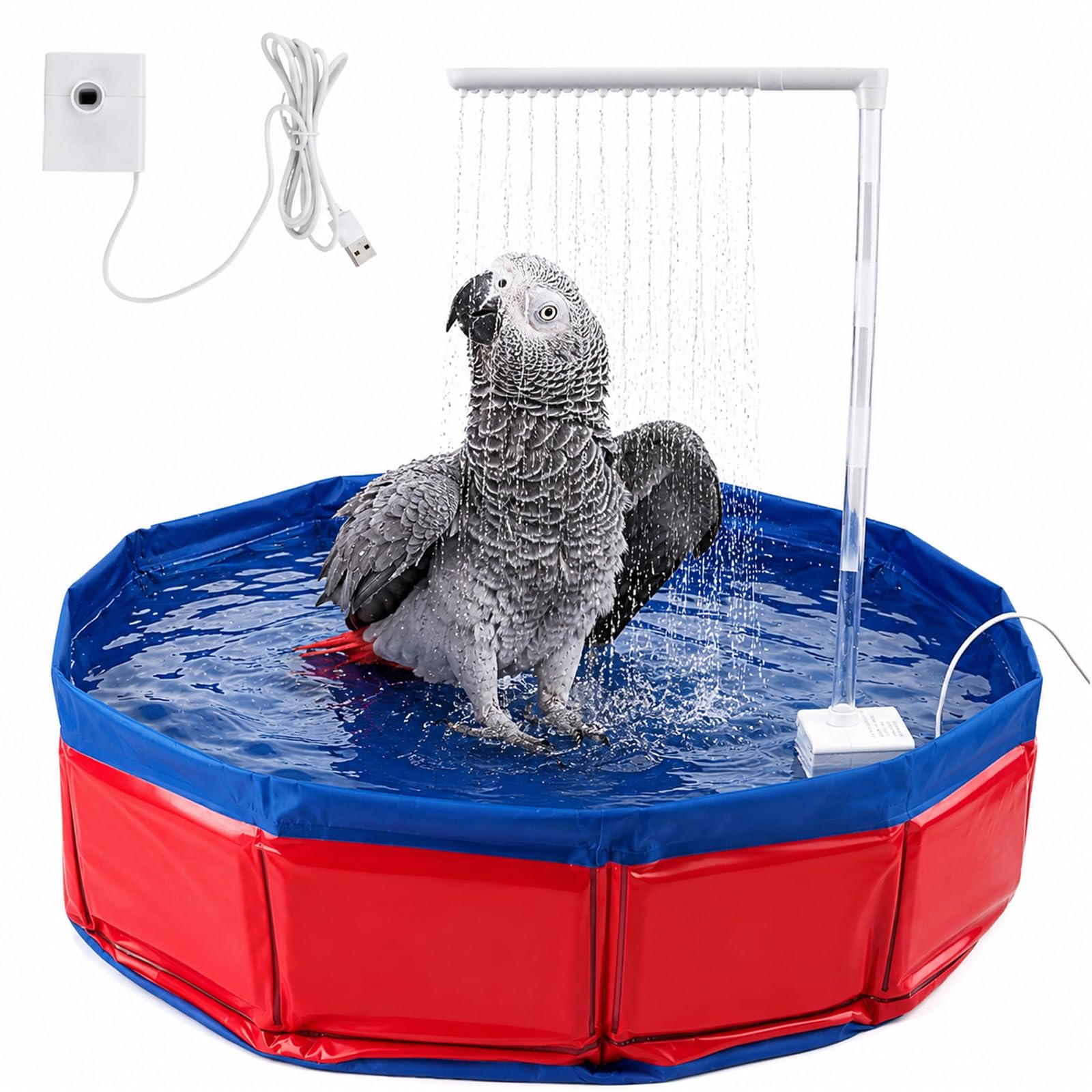 Ducha automática para pájaros con controlador circulante y bañera para loro gris africano