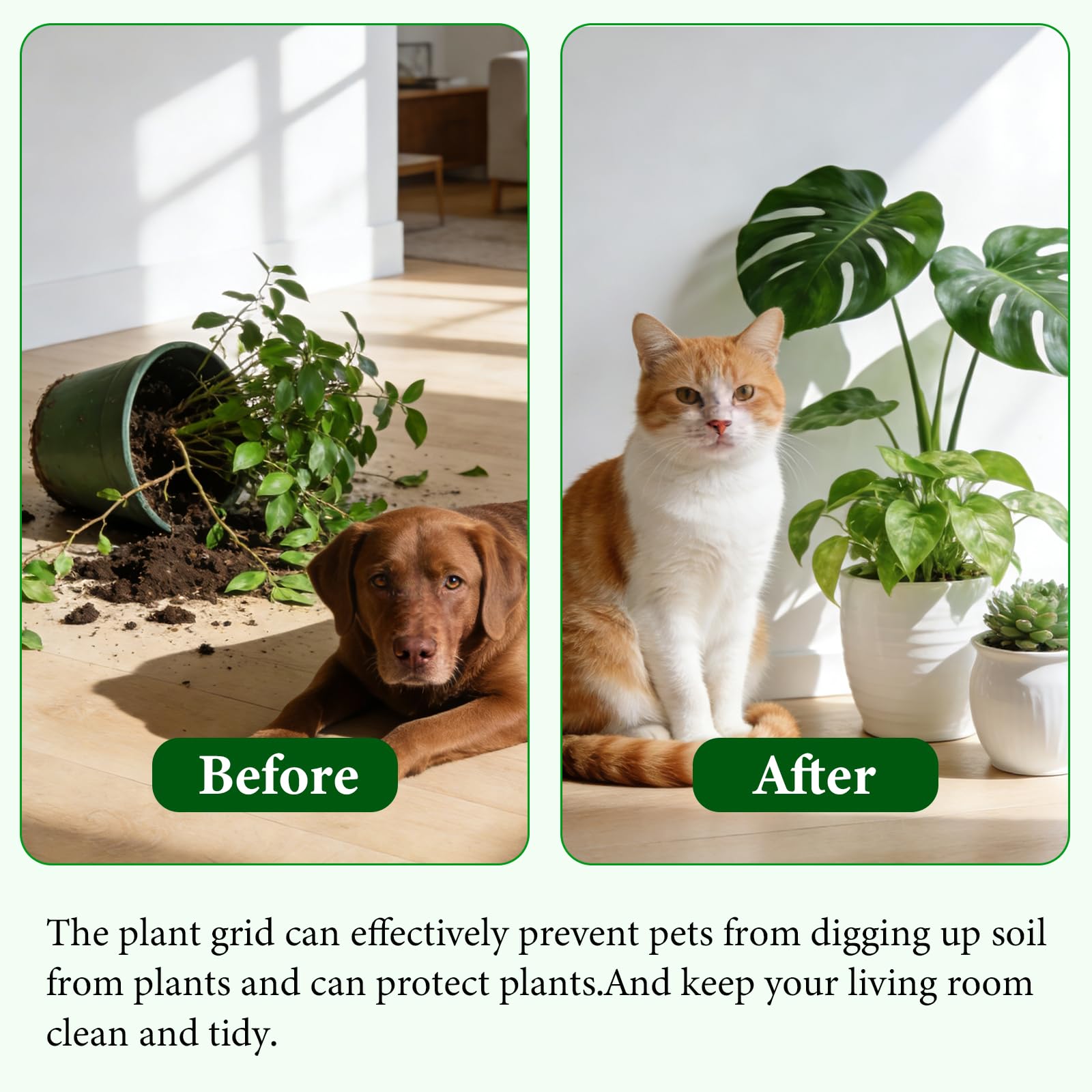 Lot de 10 grilles de jardinières avec 20 piquets - Cache-sol découpables pour protéger contre les animaux - Protection du sol pour l'intérieur - Pour balcon OGarden (40 x 40 cm)