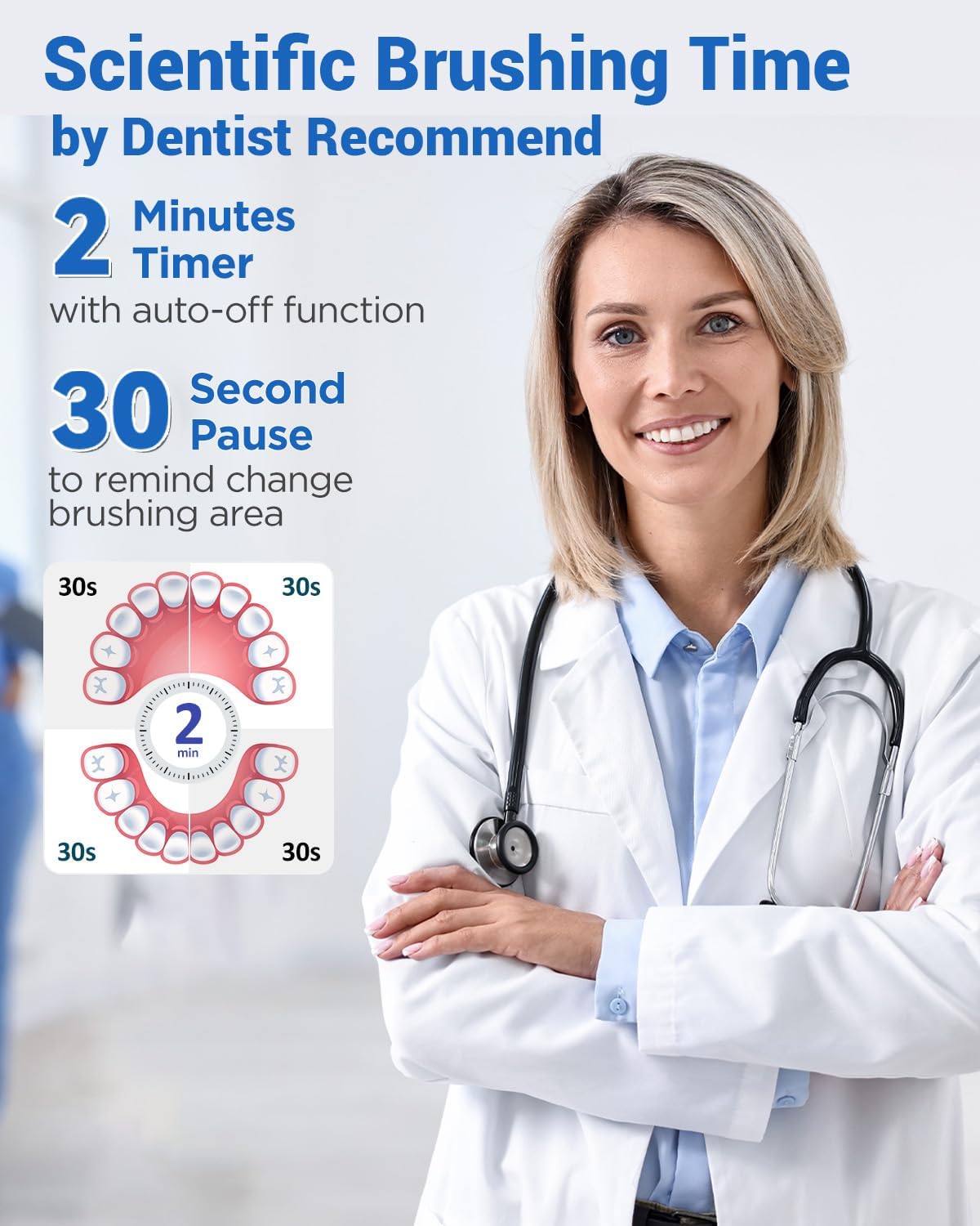 Diagram illustrating the 2-minute brushing timer with 30-second quadrant pauses, recommended by dentists for scientific brushing time.