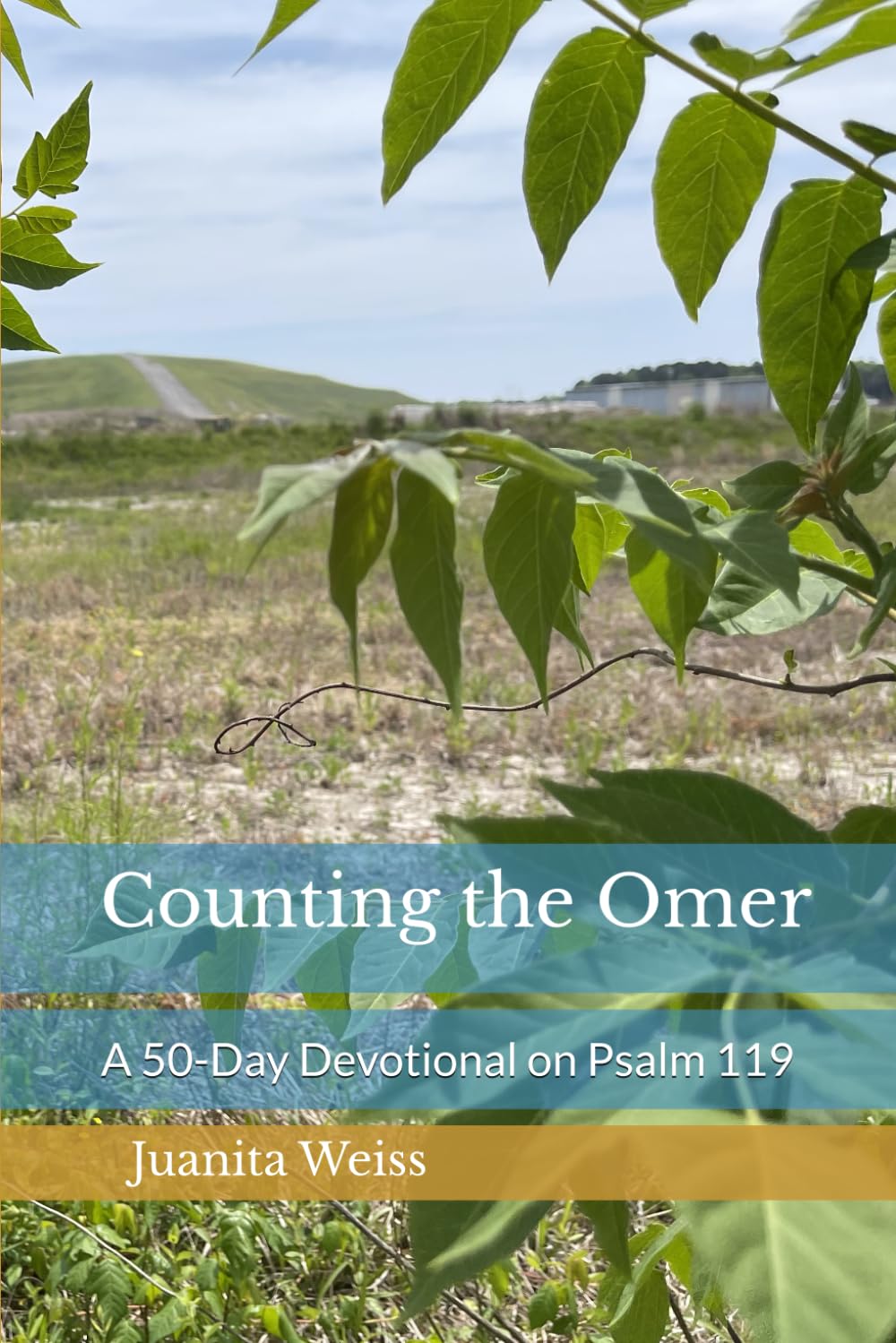 Counting the Omer: A 50-Day Devotional on Psalm 119