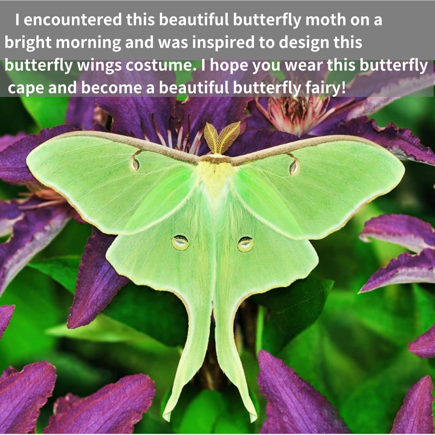 Halloween Butterfly Wings Costume for Womens, Moth Wings Butterfly Cape Adult Costume with Mask & Headband(3pcs) - Image 7